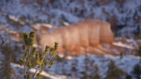 Surrounding area of Bryce Canyon covered with snow Stock Footage 104112536