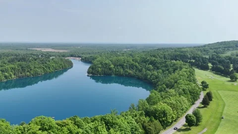Surrounding Forest - Green Lakes State Park - Syracuse, NY Video stock 336538364