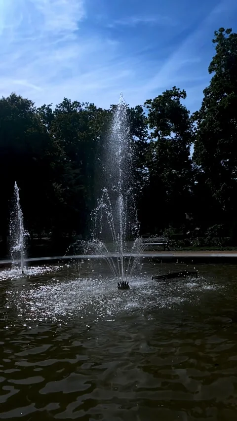 Surrounding it are other flowers and green foliage, some of which are blurred Stock Footage 314913899