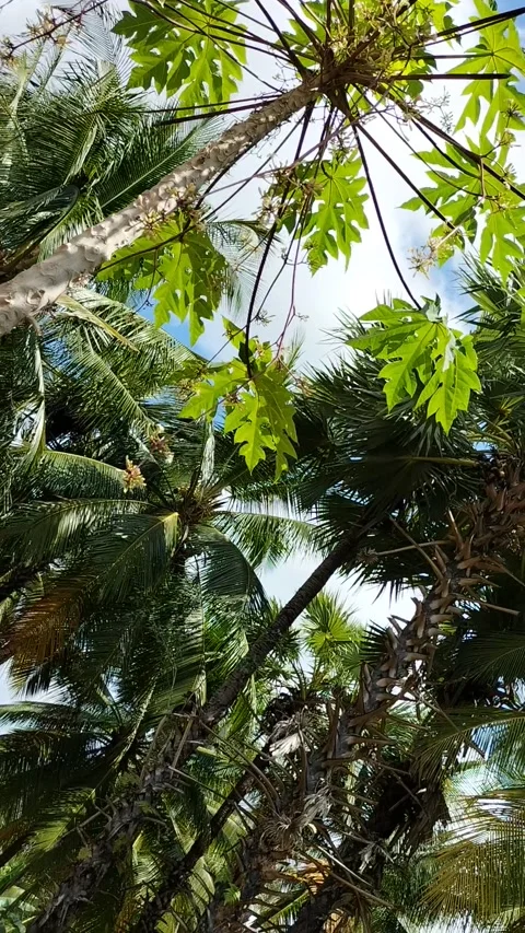 Surrounding scenery Stock Footage 204962153