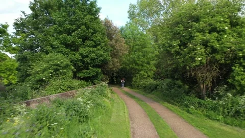Surroundings of path leading through park, woman jogging in nature Stock-Footage 155824147