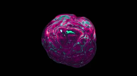 Сurse Sphere Video stock 64602195