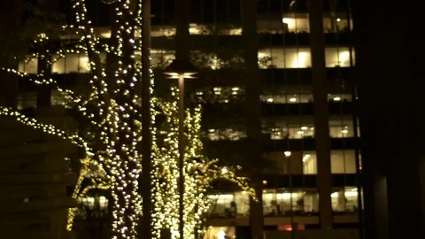 Surveillance Camera and Holiday Lights Stock Footage 76567375