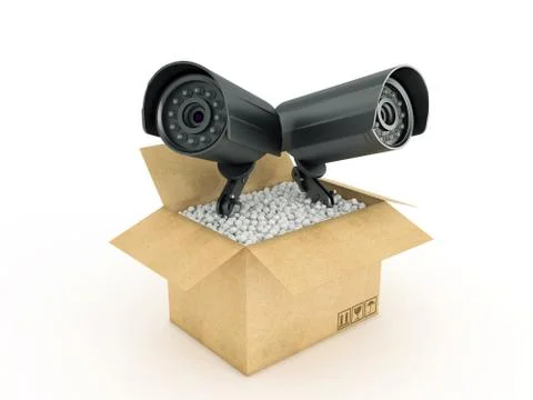 Surveillance Camera in cardboard box Stock Illustration