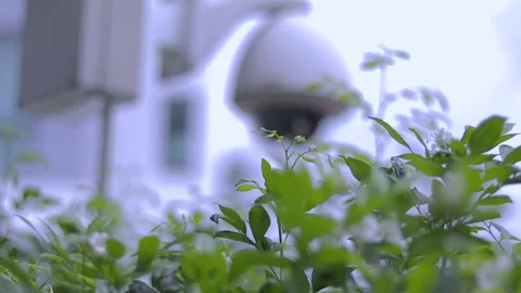 Surveillance Camera Video stock 157749376