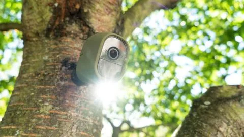 Surveillance Camera Mounted On a Tree Front View Fotos Stock