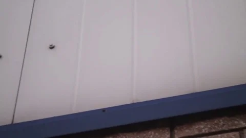 Surveillance camera on the wall of the enterprise Stock Footage 74641968