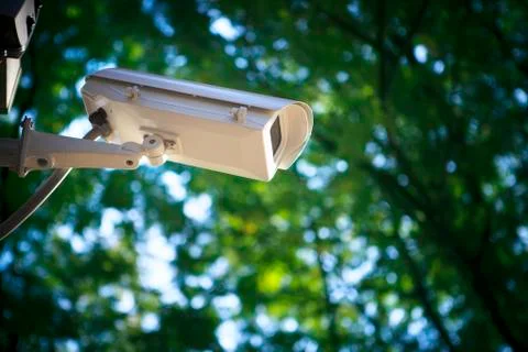 Surveillance  cctv camera security watching in outdoor garden park 写真素材
