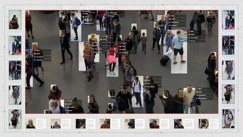 Surveillance interface using artificial intelligence and facial recognition. Stock Footage 98761200
