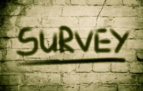 Survey concept Stock Illustration