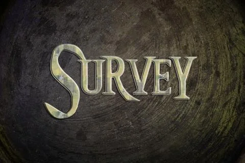 Survey concept Stock Illustration