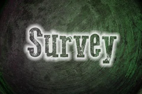 Survey concept Stock Illustration