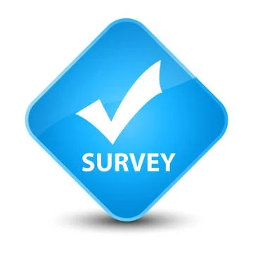 Survey (validate icon) elegant cyan blue diamond button Stock Illustration