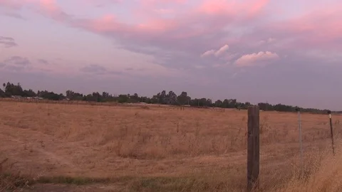 Surveying the fields for tomarrows plowing 스톡 동영상 80918491