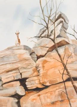 Surveying the landscape Stock Illustration