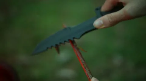 Survival knife carving wood cut Stock Footage