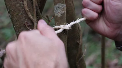 Survival Knot Tying in the Forest: Close-Up in 4K Stock Footage 265768777