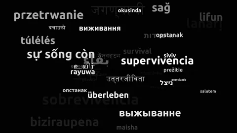 Survival Translated in 48 Worldwide Languages Endless Looping 3d Zooming Word Video stock 145203606