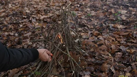 SurvivalFire1 Stock Footage 166797489