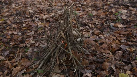 SurvivalFire2 Stock-Footage 166797465