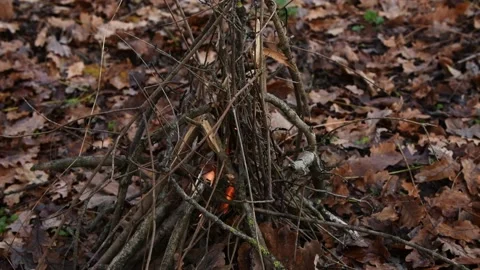 SurvivalFire3 Stock-Footage 166797472