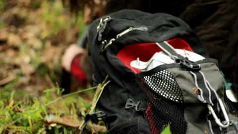 Survivalist Digging Running Hiding in Forest and Trees Intense 1080 Stock Footage 231148595