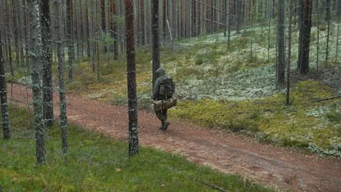 A survivalist walks in the forest Video stock 296104580