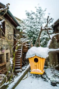 Survive the winter Foto stock