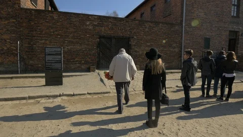 Survivor returning to Auschwitz Stock Footage 87836399