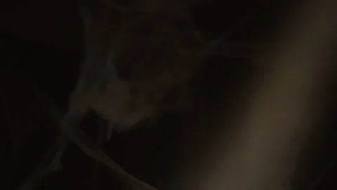 Survivor walking hallway flashlight zombie bride Stock Footage 314072337