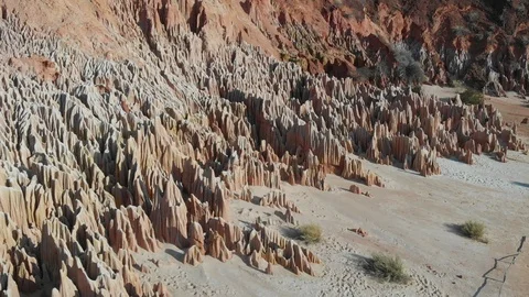 Survol des Tsingys 1 Stock Footage 110447953