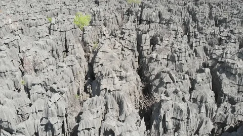 Survol des Tsingys à Madagascar Stock Footage 110446151