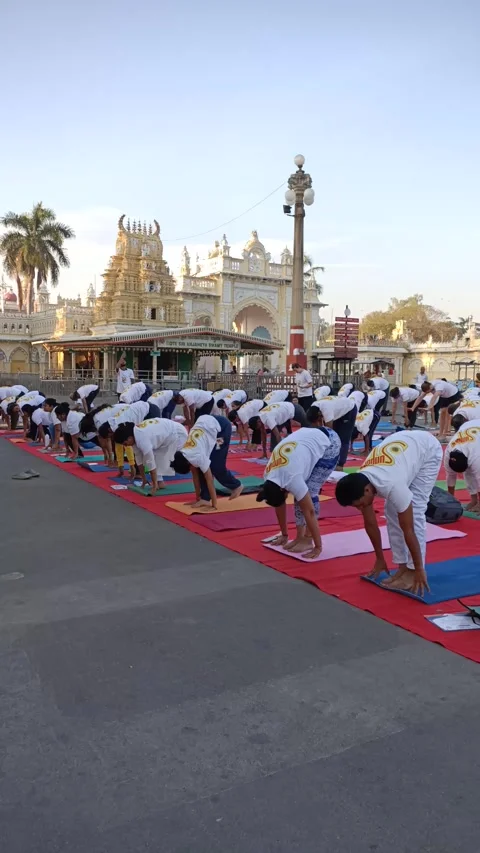 Surya namaskar or Sun salutation by people in Yoga asana at Mysore, India. Stock Footage 301709469