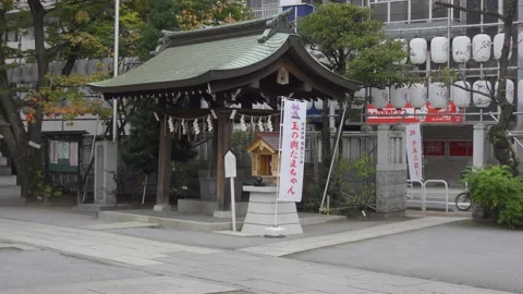 Susaki Shrine Stock Footage 147522041