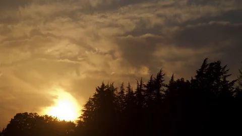 Suset with forest silhouette Stock-Footage 83764276