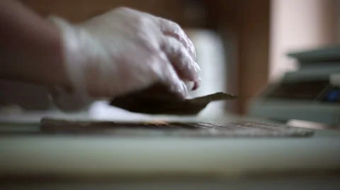 A sushi chef prepares rolls with a bamboo mat Stock Footage 59698376
