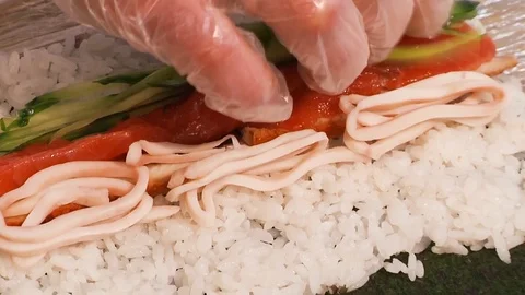 Sushy 6 Stock Footage 101162030