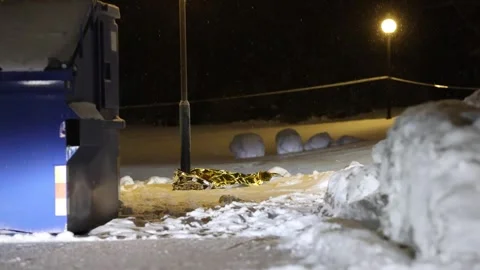 A suspected shooting, Linköping, Sweden Stock Footage 264615113