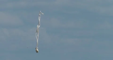 A suspected weather balloon falling back to earth on the Sussex coast, UK. Stock Footage 312997207