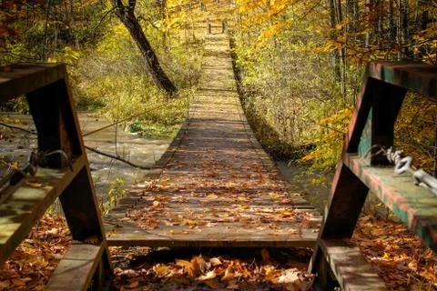 Suspended Bridge over Stream in Fall Stock Photos