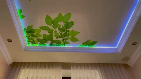 Suspended ceiling with a pattern Stock Footage 163155267