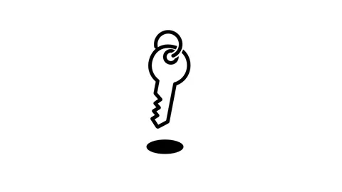 Suspended Key Shadow Icon Stock Footage 346803559