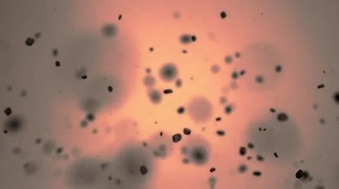 Suspended particles 스톡 동영상 46751716