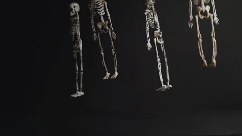 Suspended skeletons dance on a black background. Preparing for a Halloween party Stock Footage 160940533