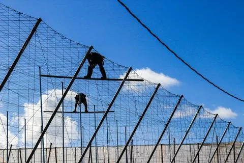Suspended workers Stock Photos