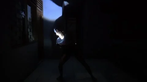 Suspenseful Figure in Dark Corridor with Flashlight Stock Footage 313468218