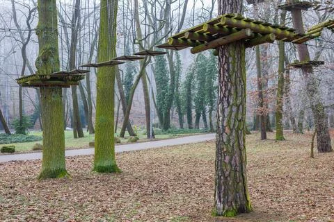 Suspension bridge between two tree trunks in a rope park. Wooden platforms .. Stock Photos