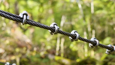 Suspension Bridge Cable Close-Up in Lush New Zealand Forest Stock Footage 316571409