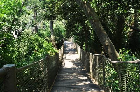 Suspension bridge with cables. Stock Photos