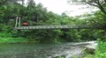 Suspension Bridge Crossing The Tama River In Green Forest 4k or 4k+ Resolution